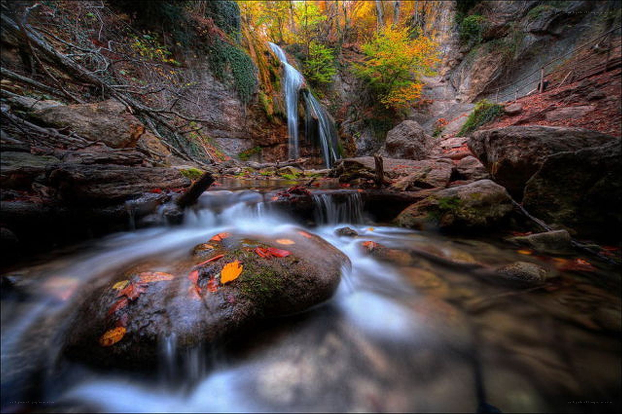 Autumn waterfall in a forest