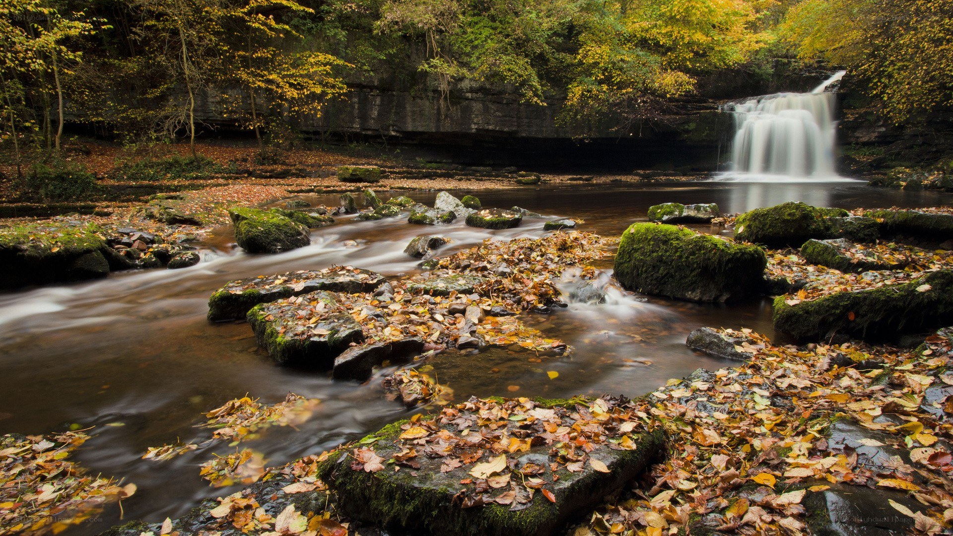 Autumn waterfall in a forest