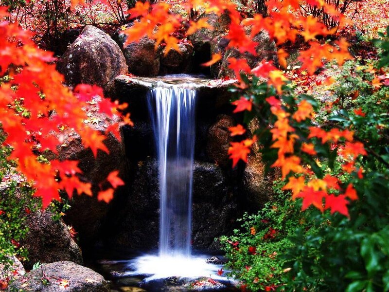 Autumn waterfall in a garden