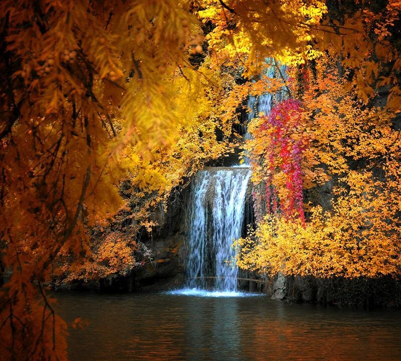 Autumn waterfall in forest