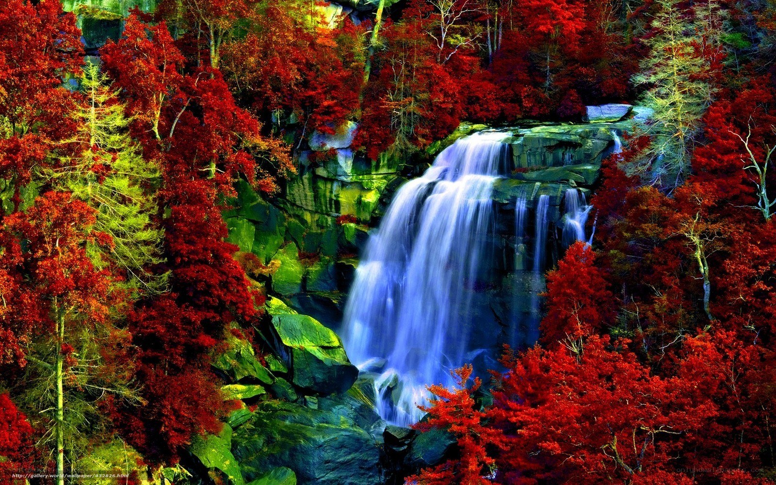 Autumn waterfall in forest