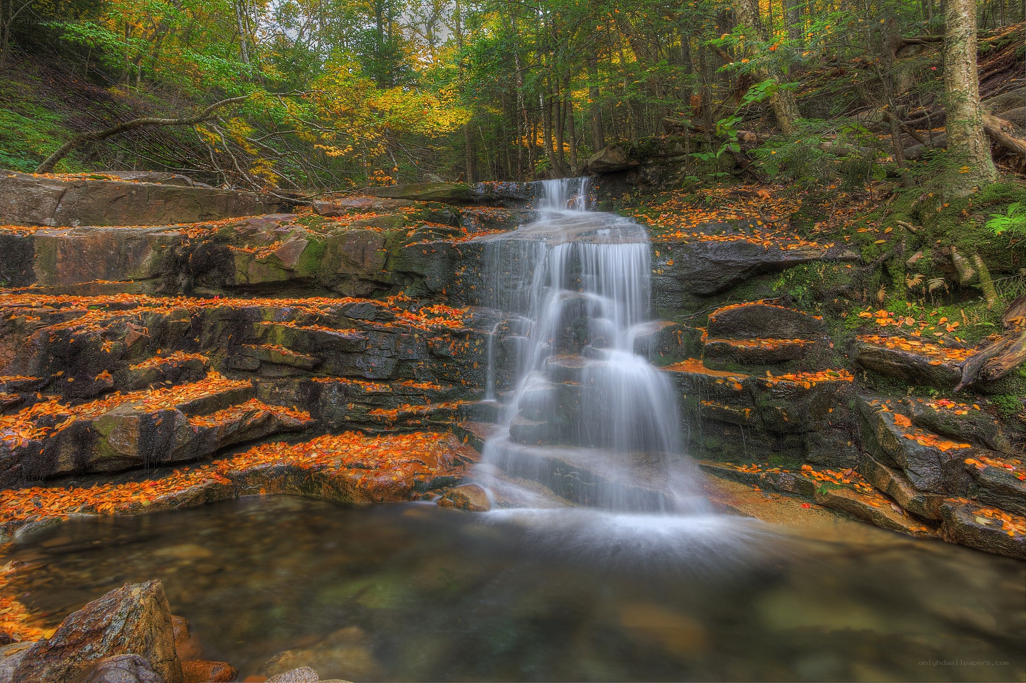 Autumn waterfall in forest