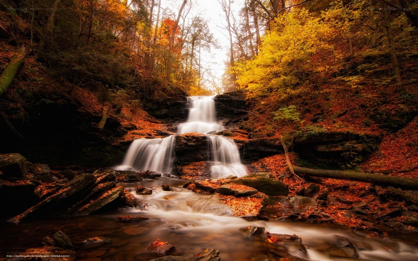 Autumn waterfall in forest