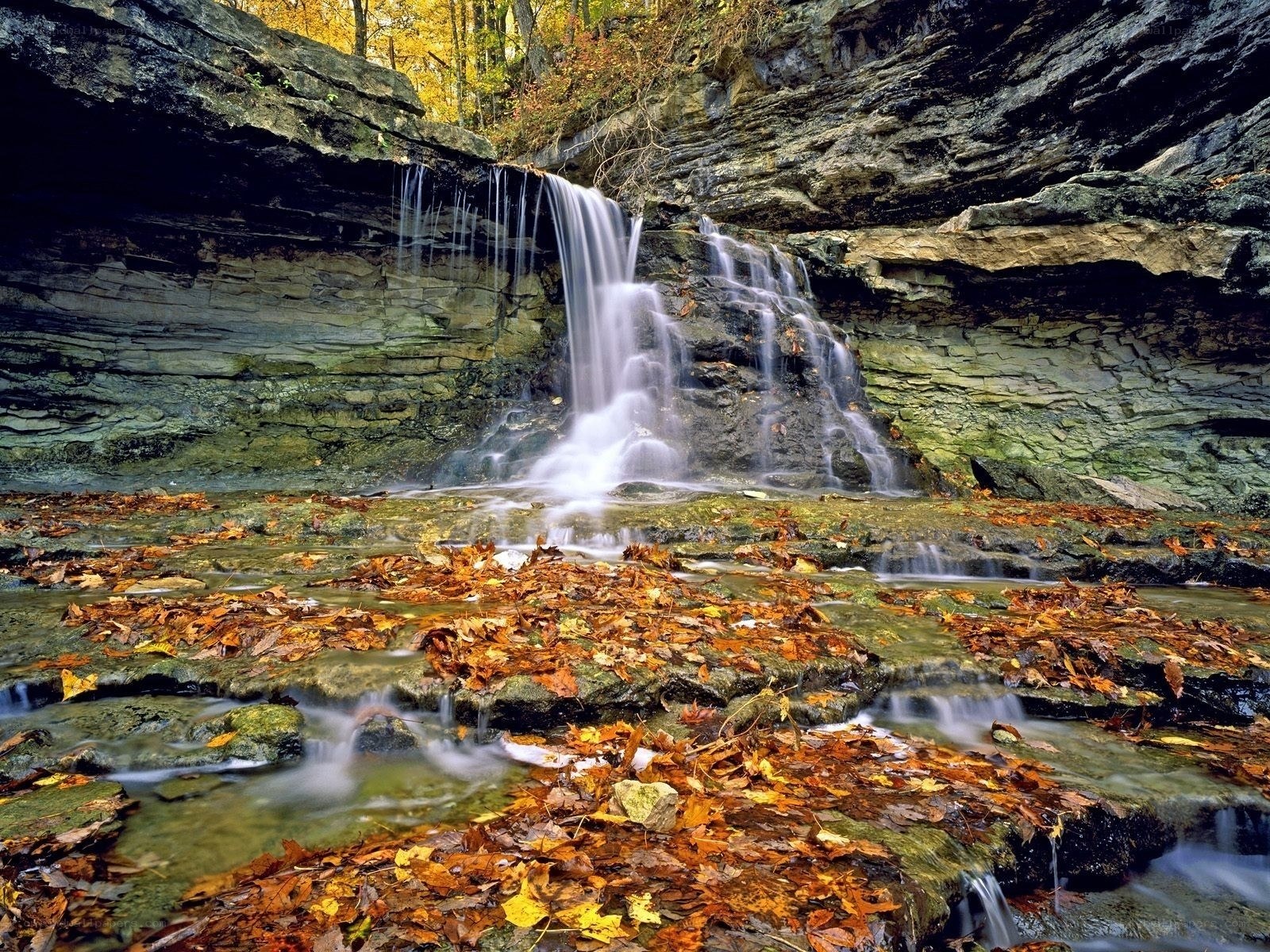 Autumn waterfall in forest