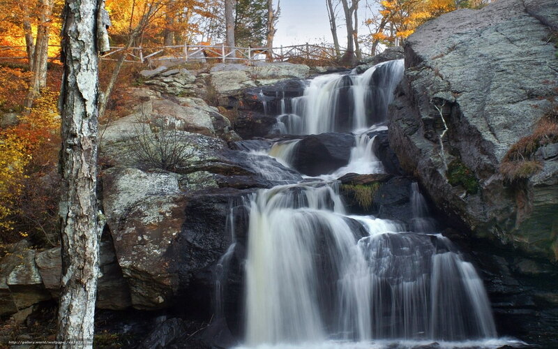 Autumn waterfall in forest