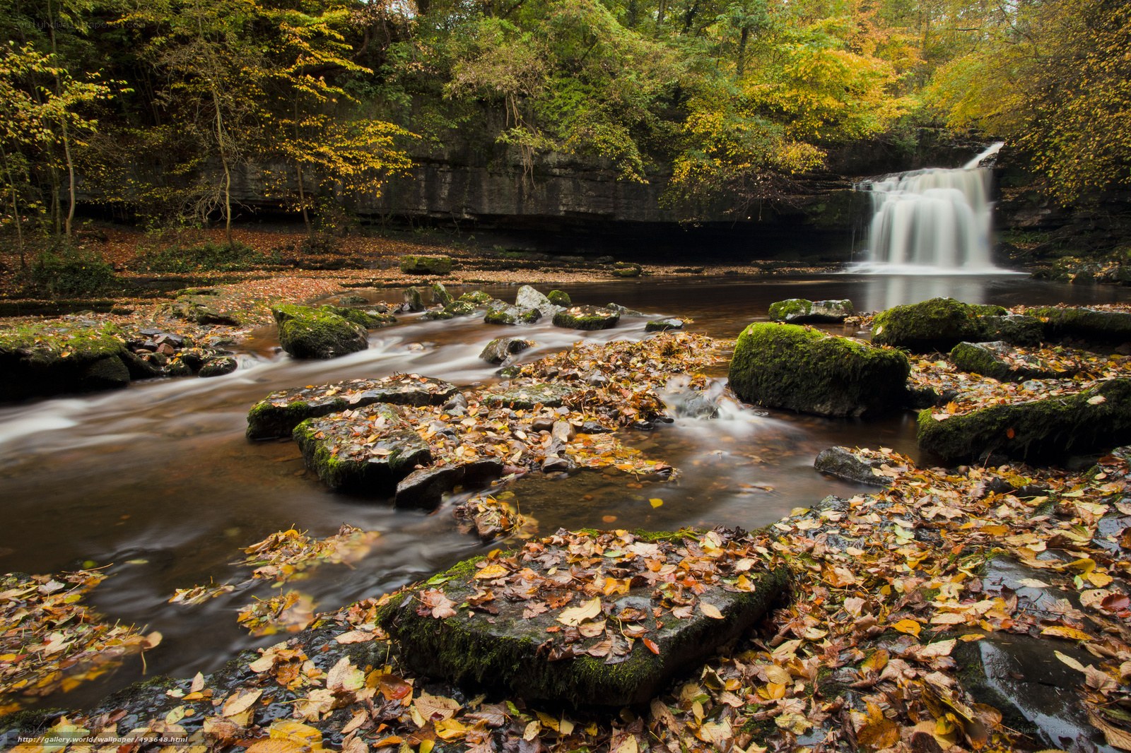 Autumn waterfall in forest