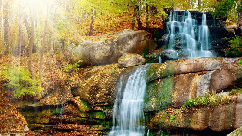 Autumn waterfall in forest
