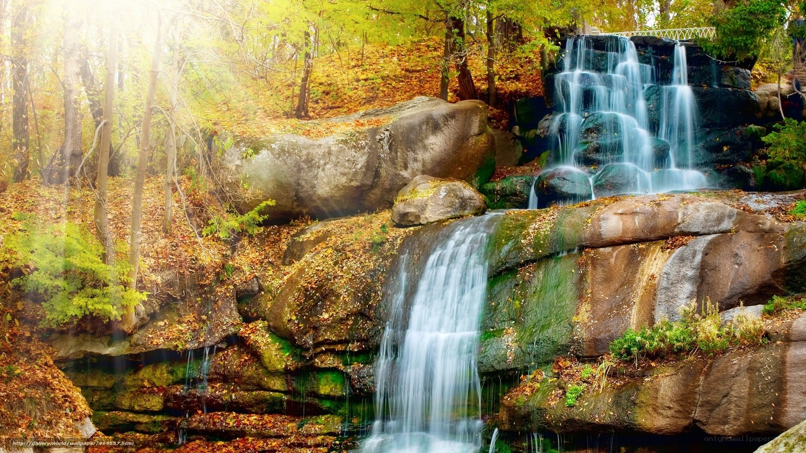 Autumn waterfall in forest