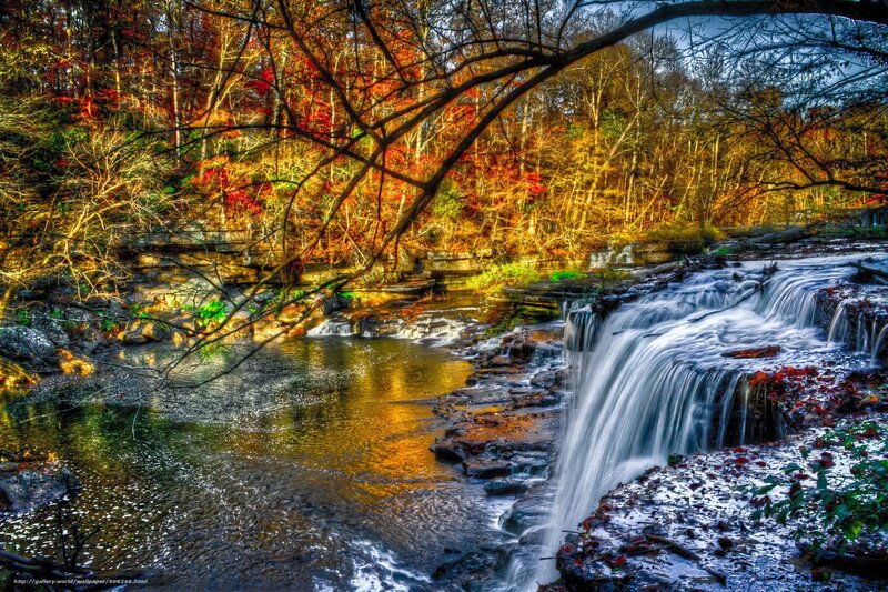 Autumn waterfall in forest