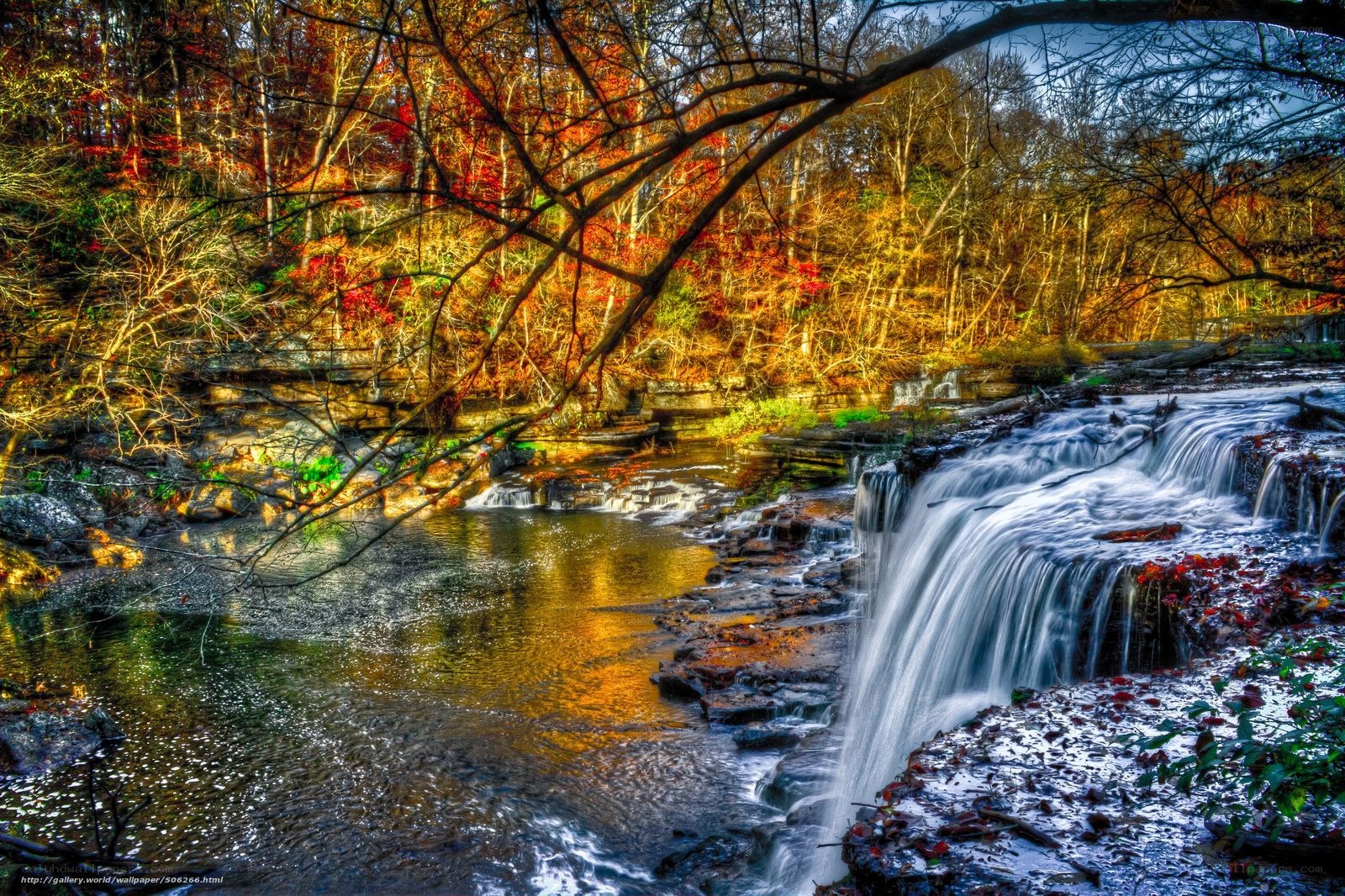 Autumn waterfall in forest