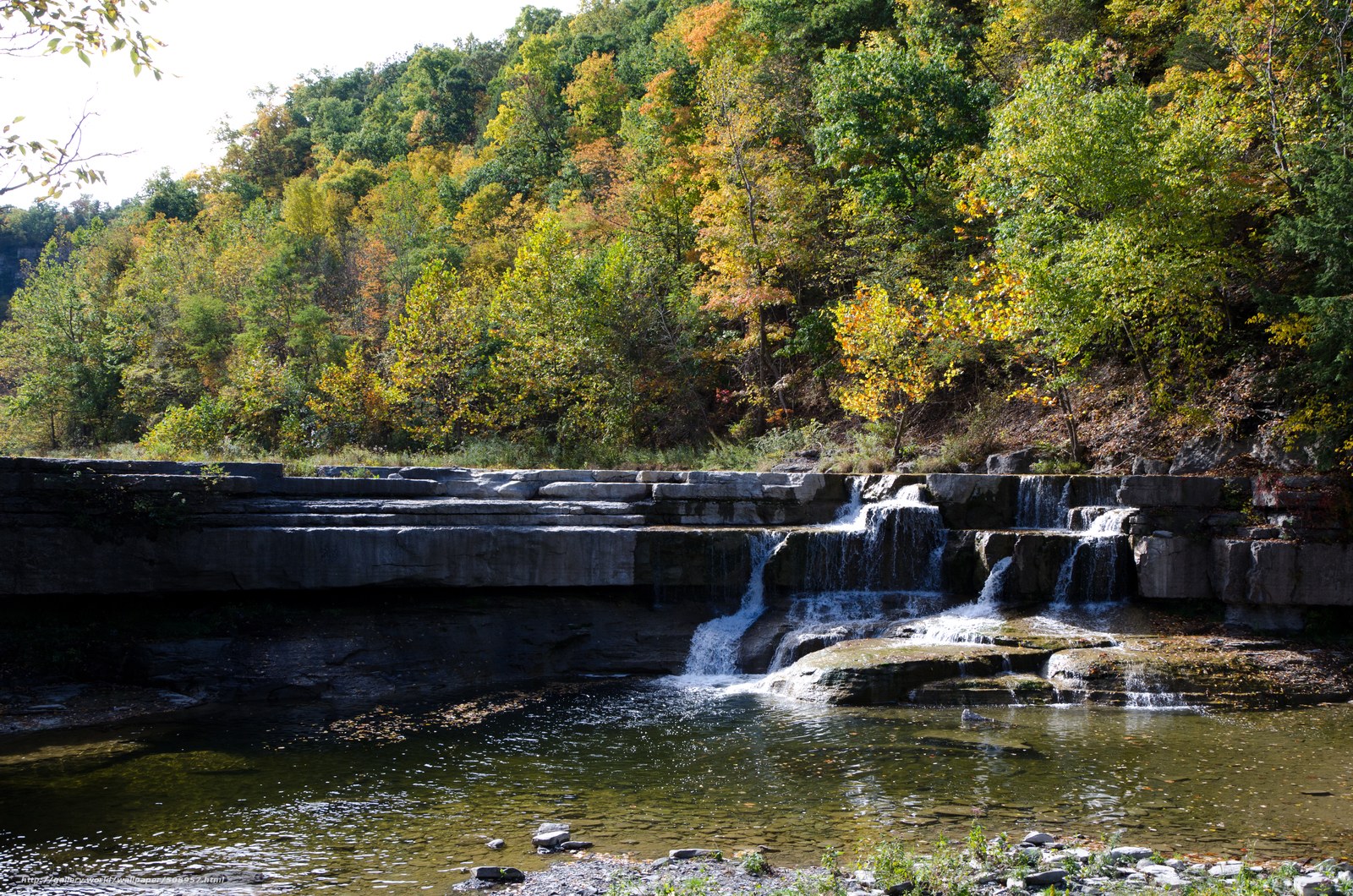 Autumn waterfall in forest