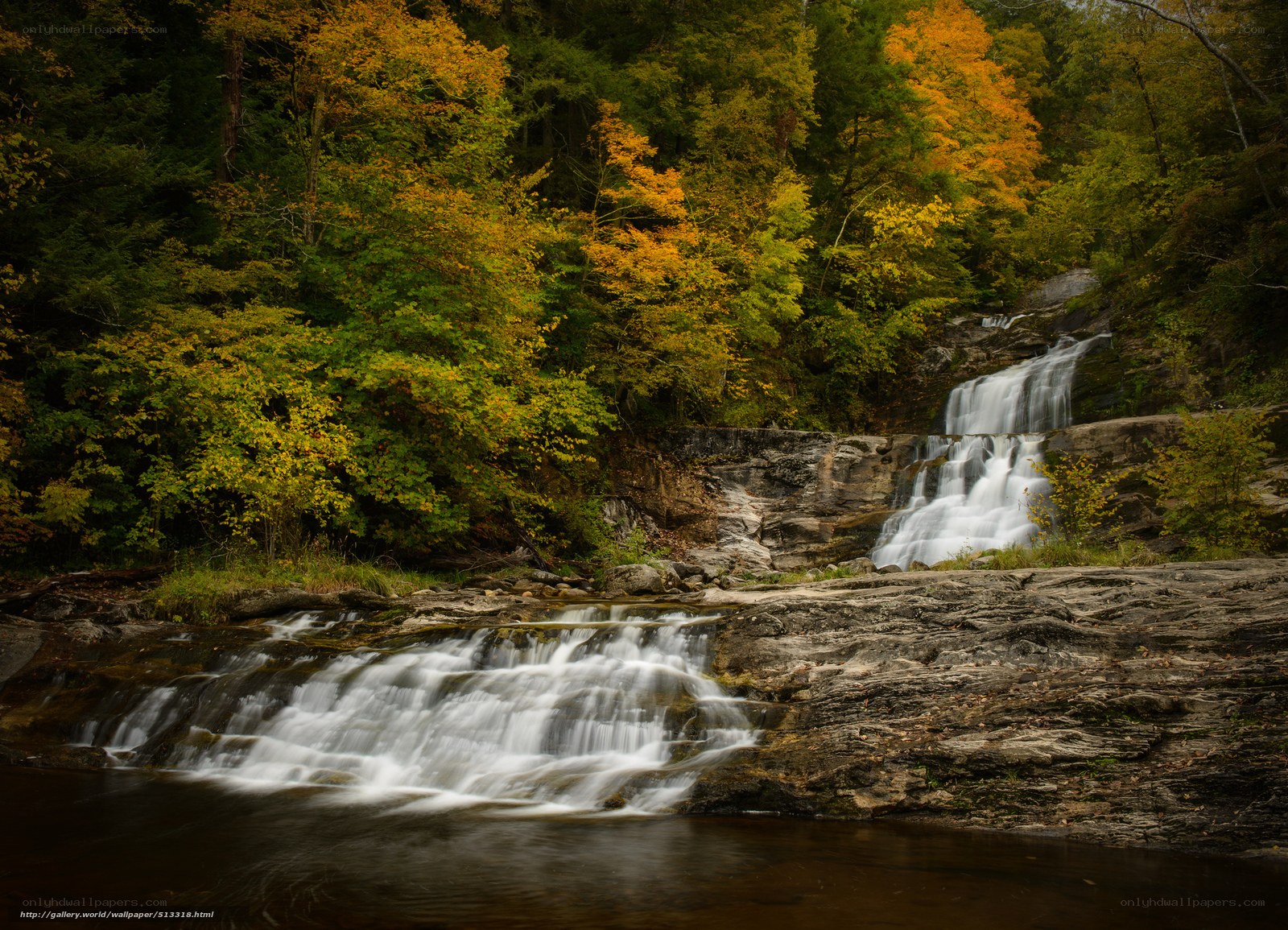 Autumn waterfall in forest
