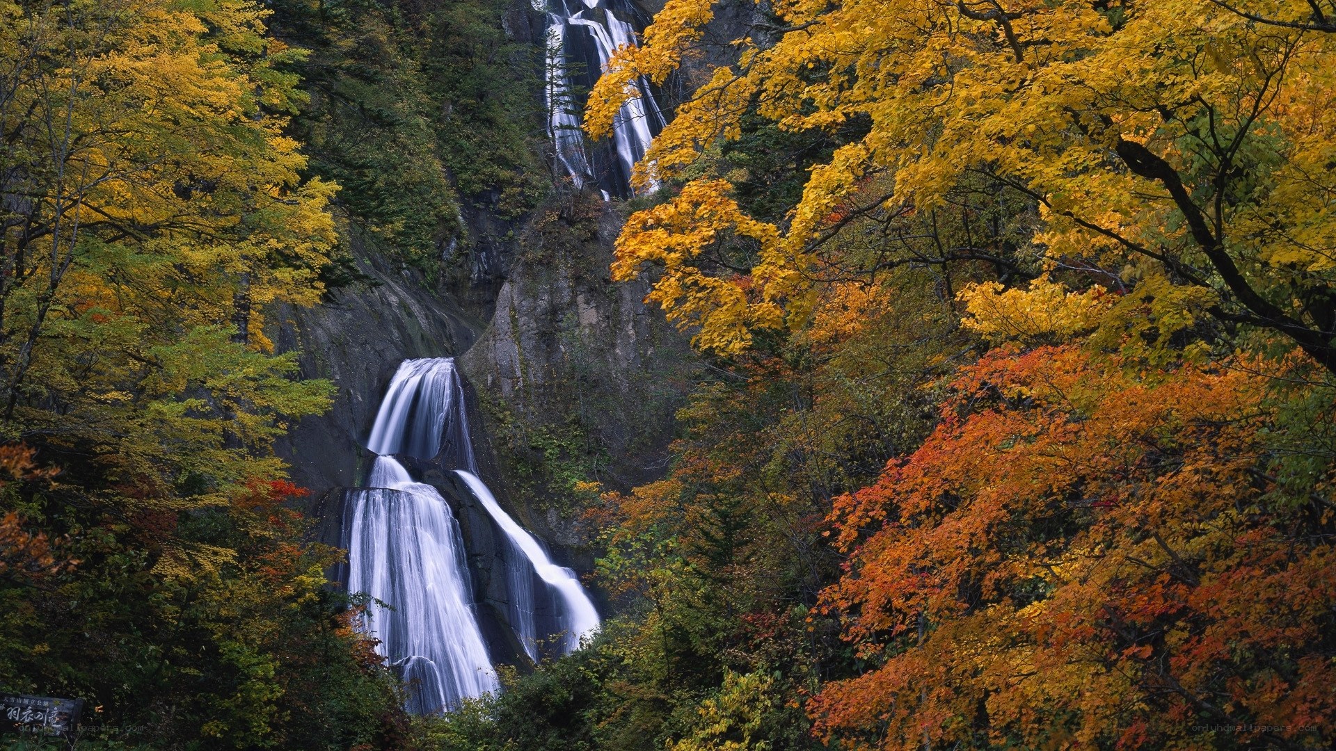 Autumn waterfall in forest