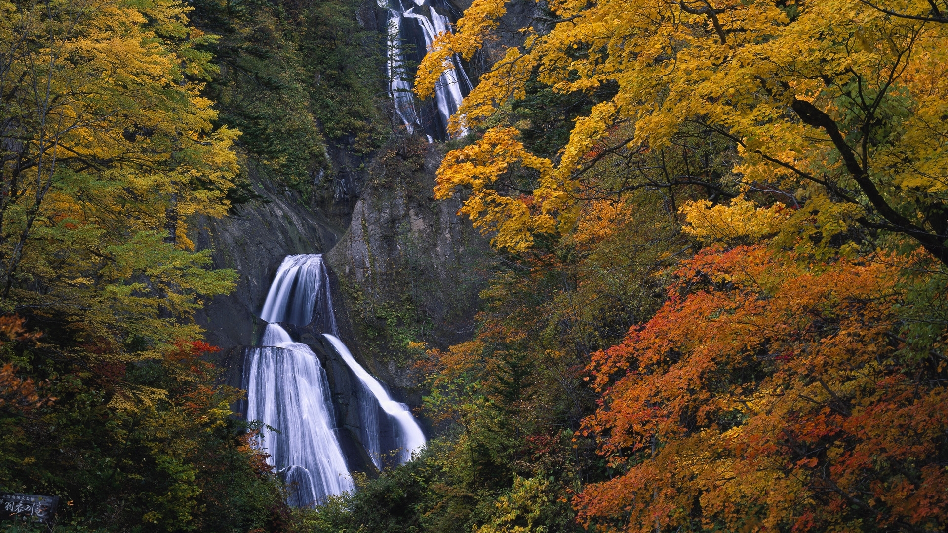 Autumn waterfall in forest