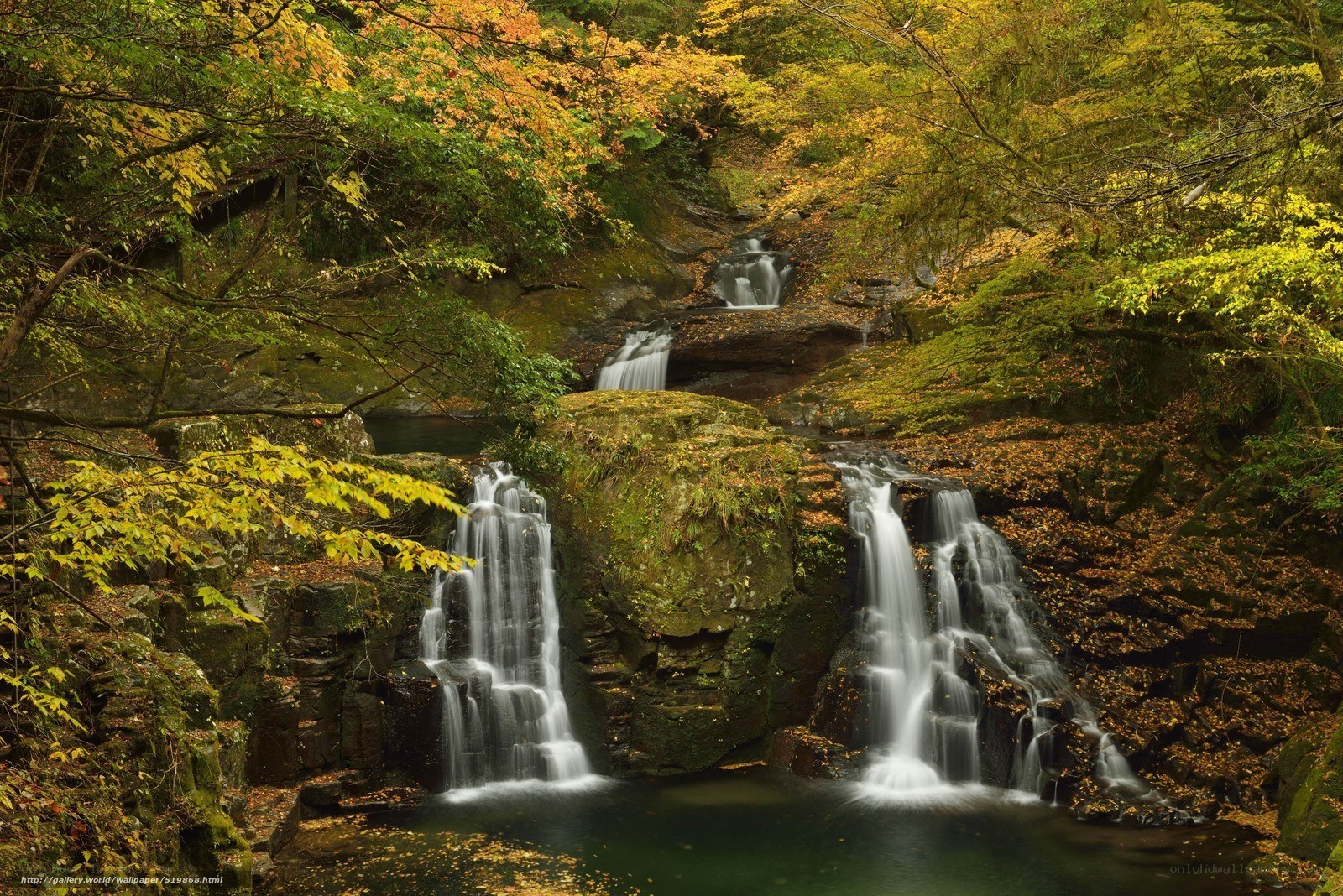 Autumn waterfall in forest