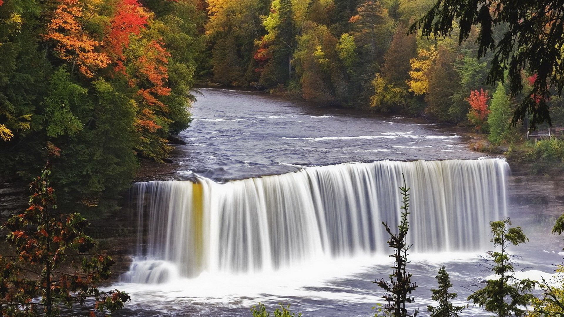 Autumn waterfall in forest