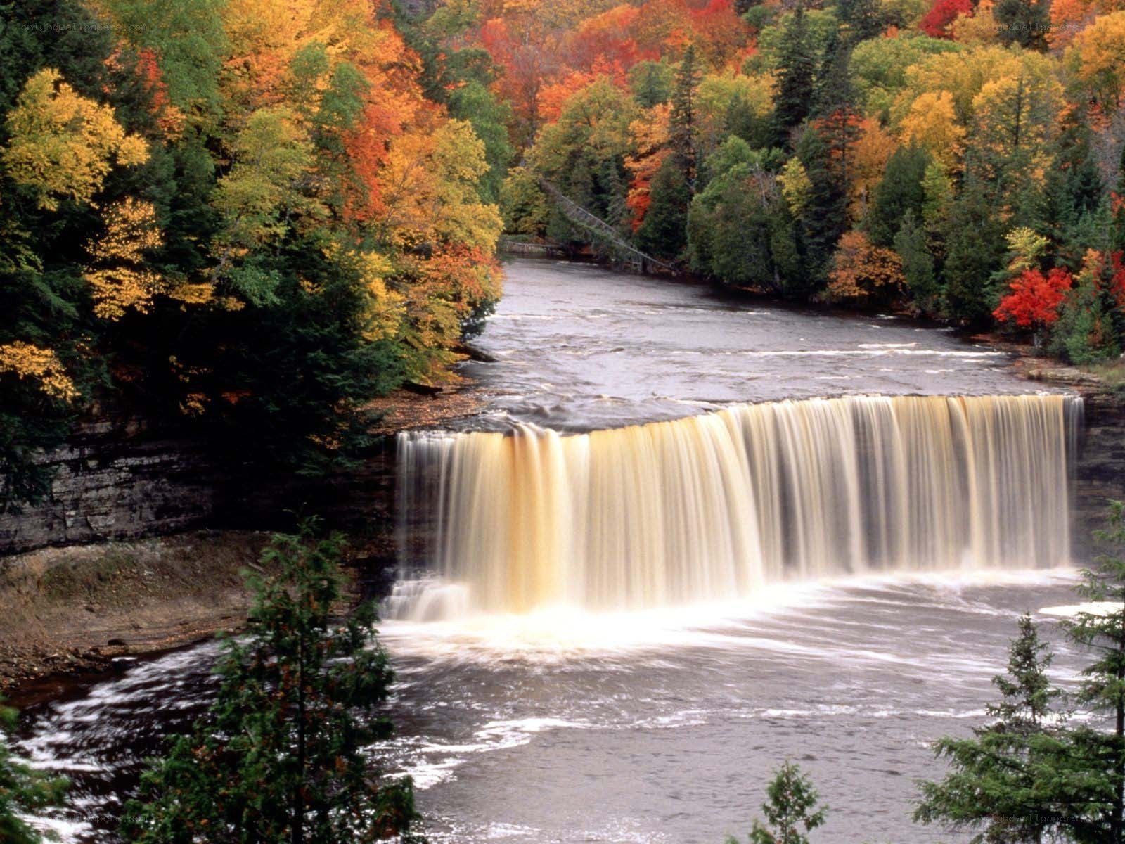 Autumn waterfall in forest