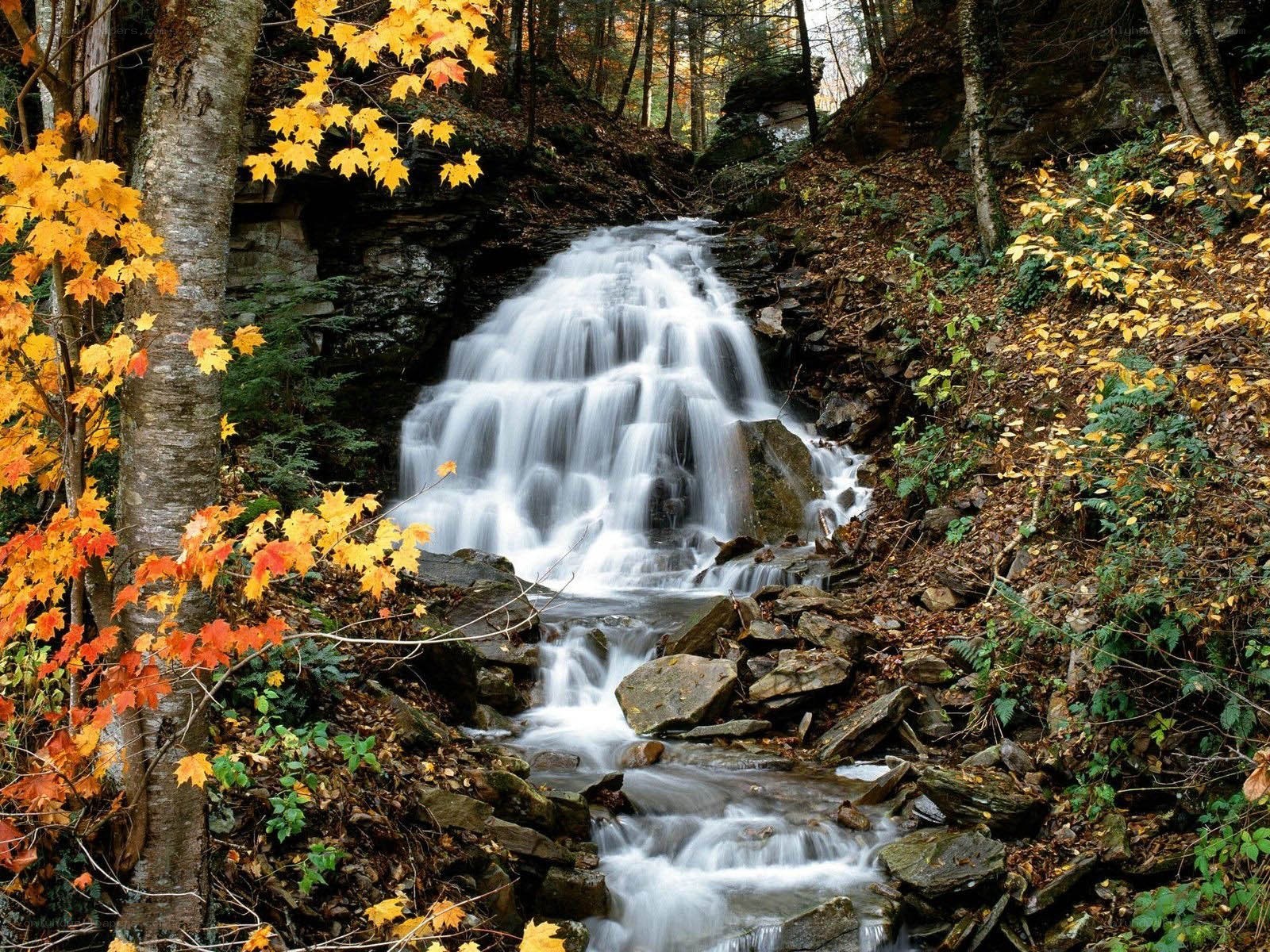 Autumn waterfall in forest