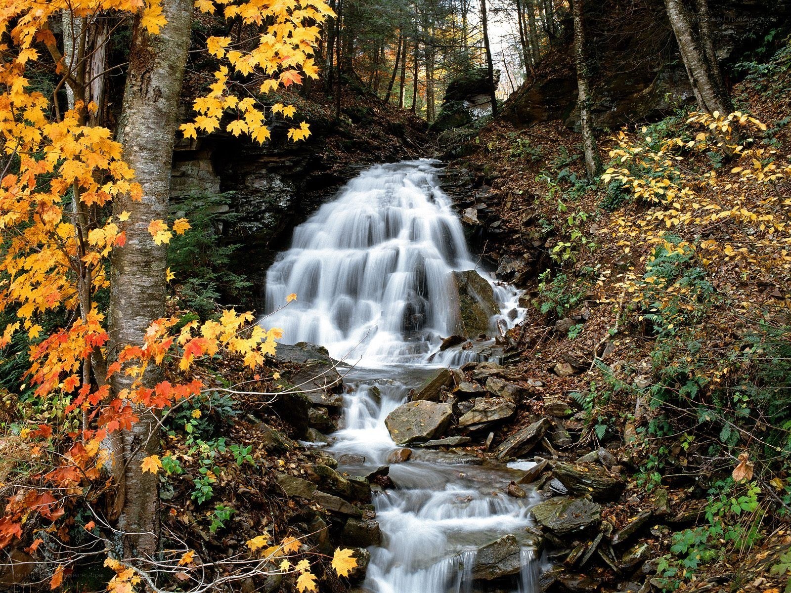 Autumn waterfall in forest