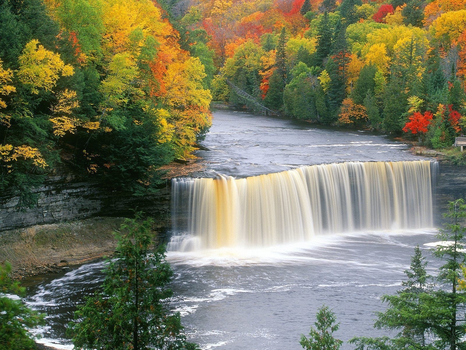 Autumn waterfall in forest