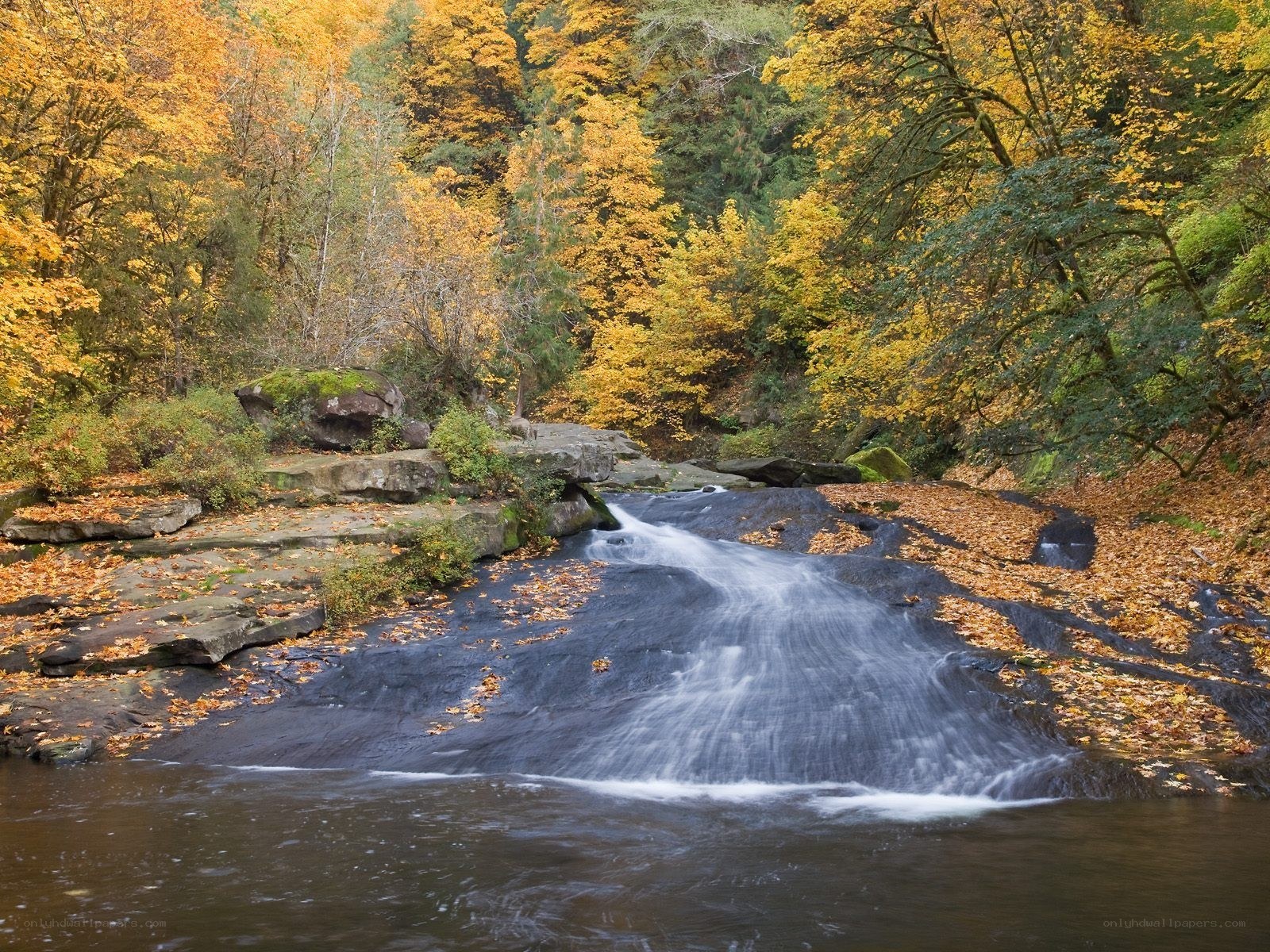 Autumn waterfall in forest