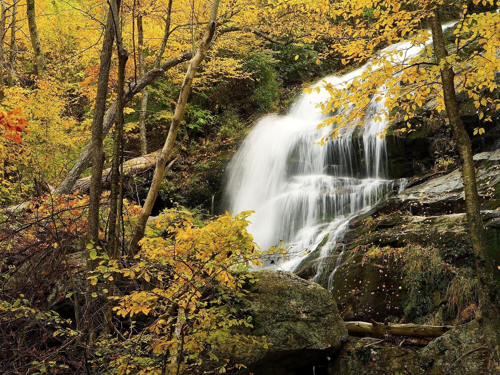 Autumn waterfall in forest