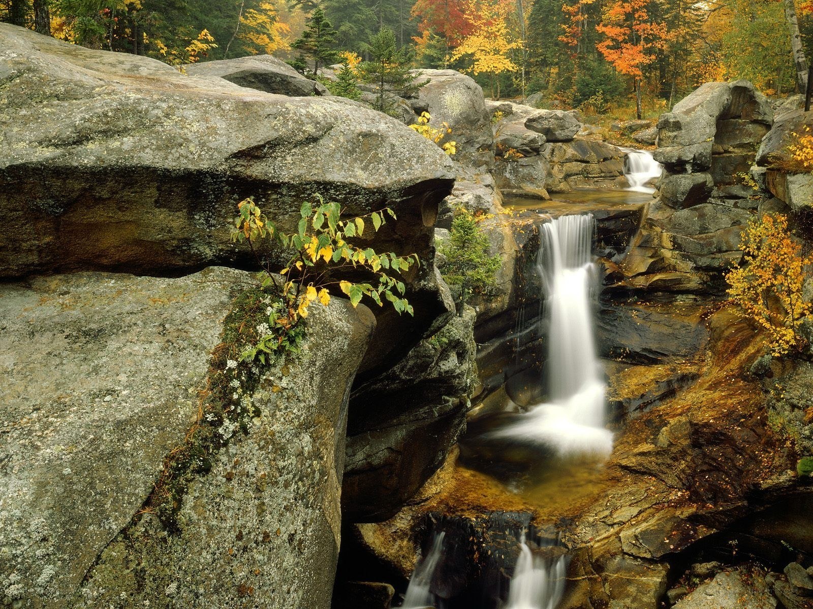 Autumn waterfall in forest
