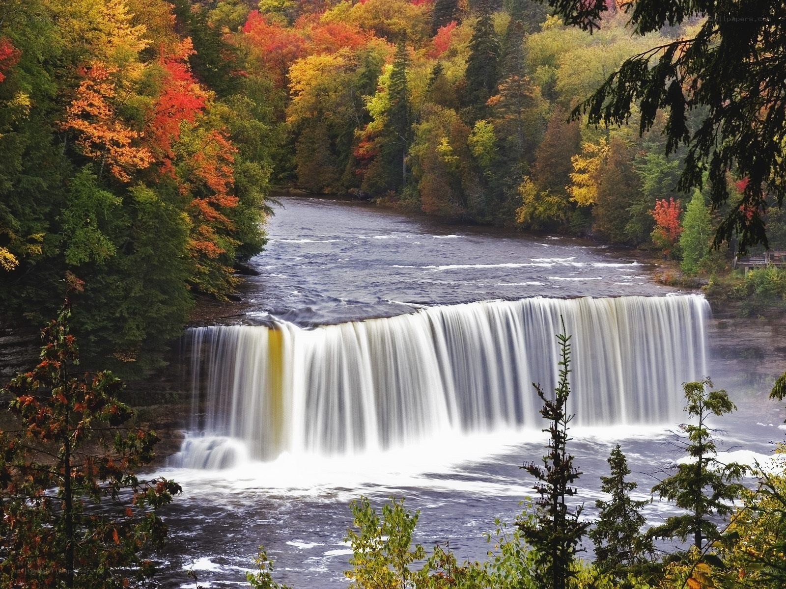 Autumn waterfall in forest