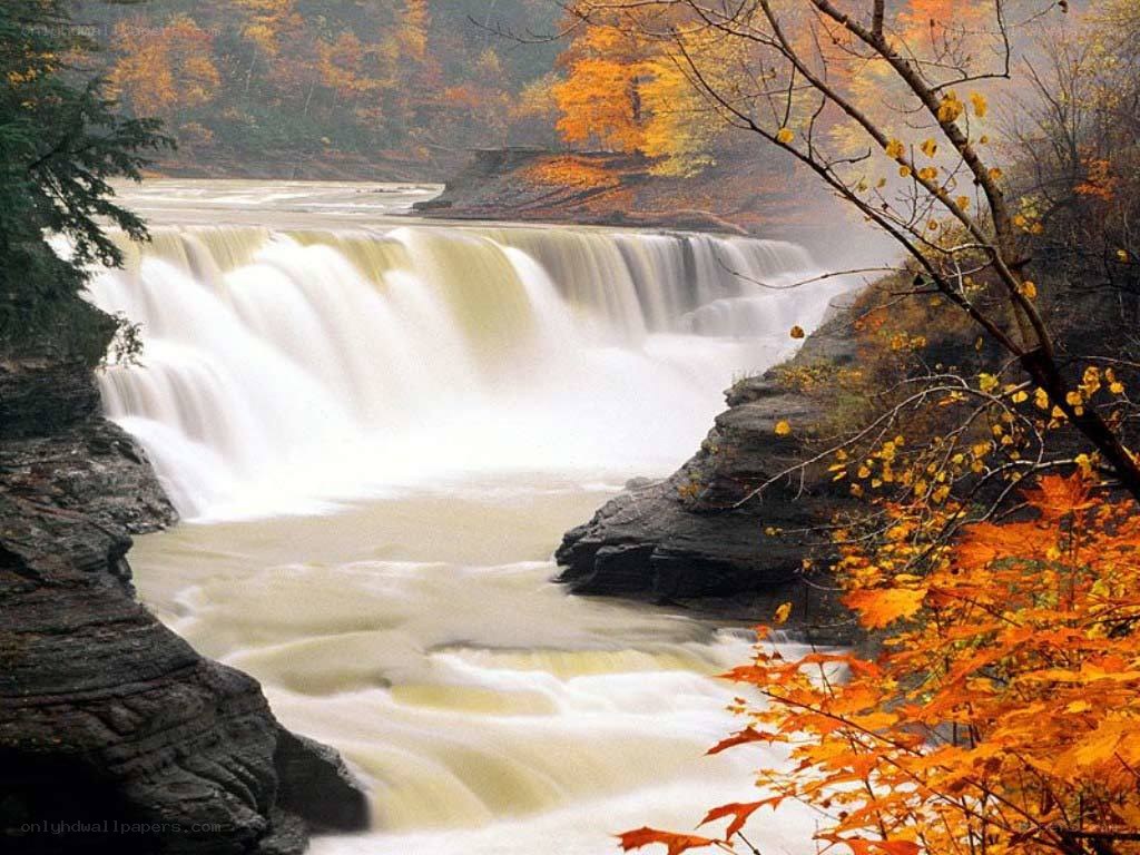 autumn waterfall in forest