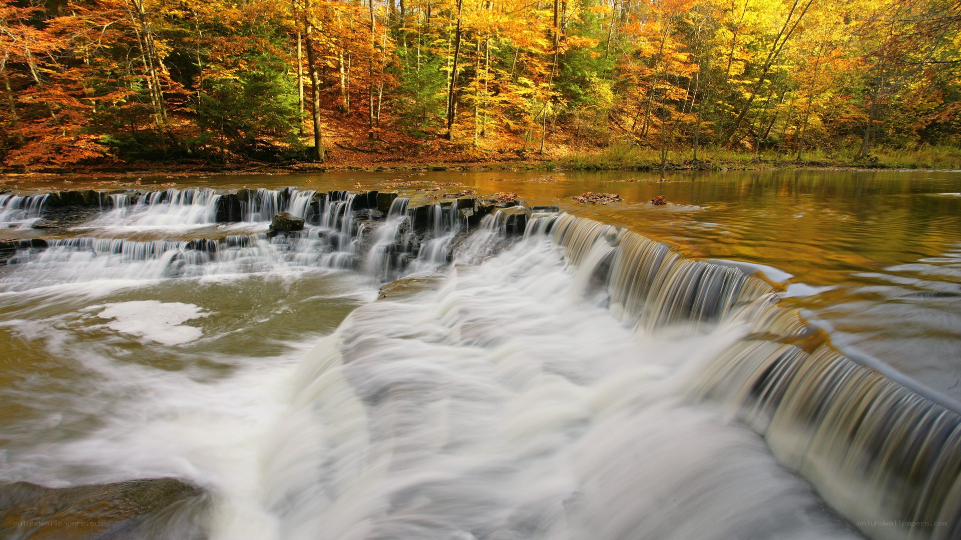Autumn waterfall in forest