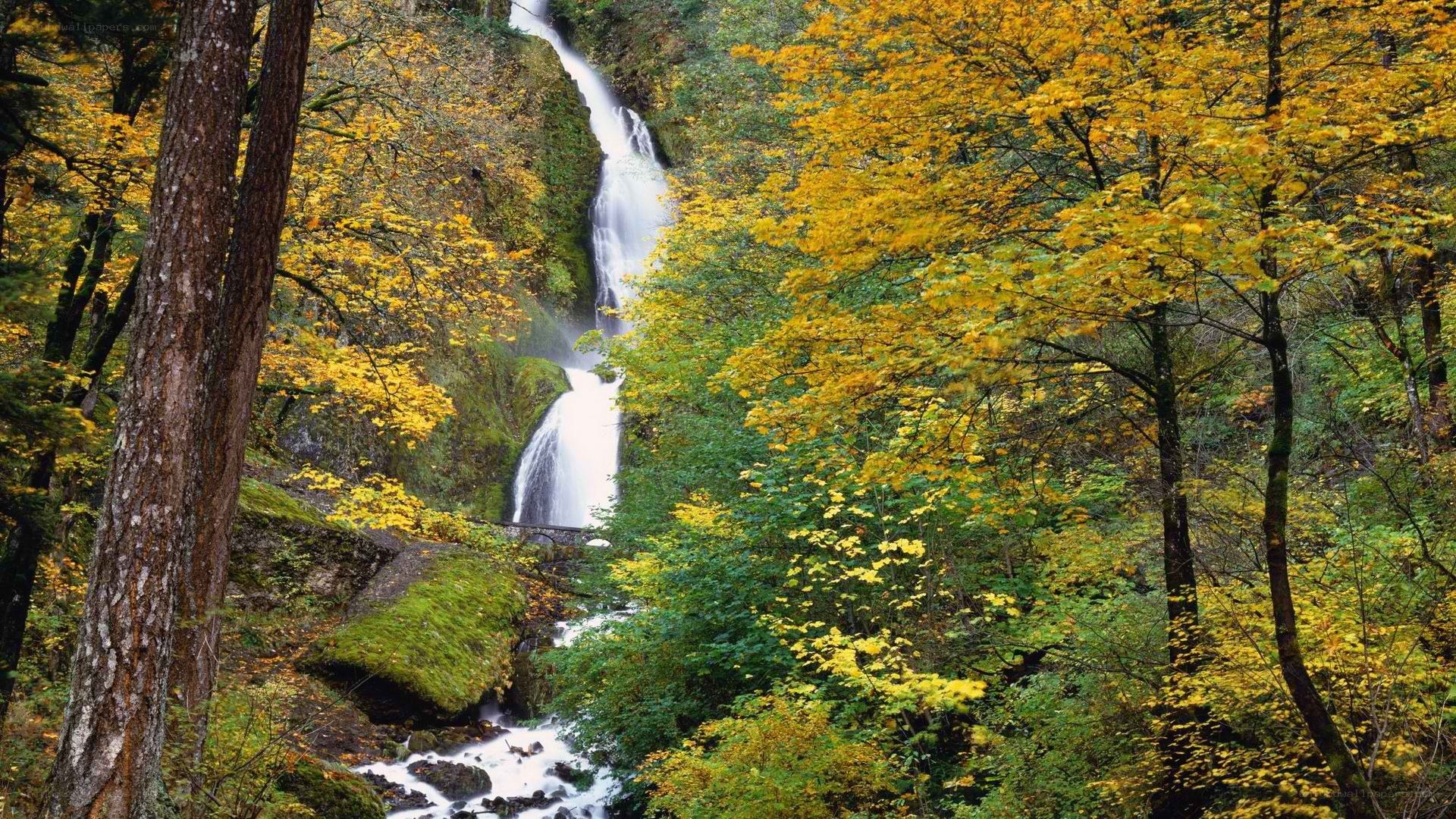 Autumn waterfall in forest