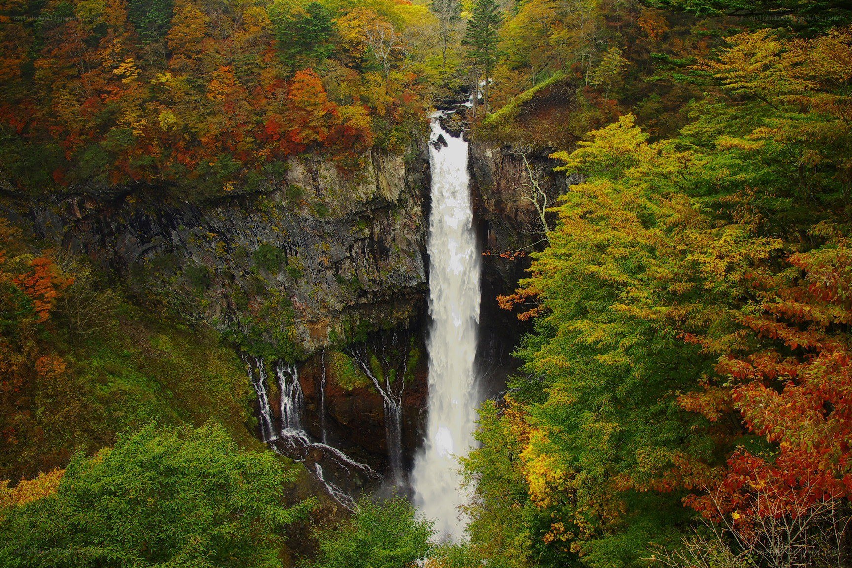 Autumn waterfall in forest