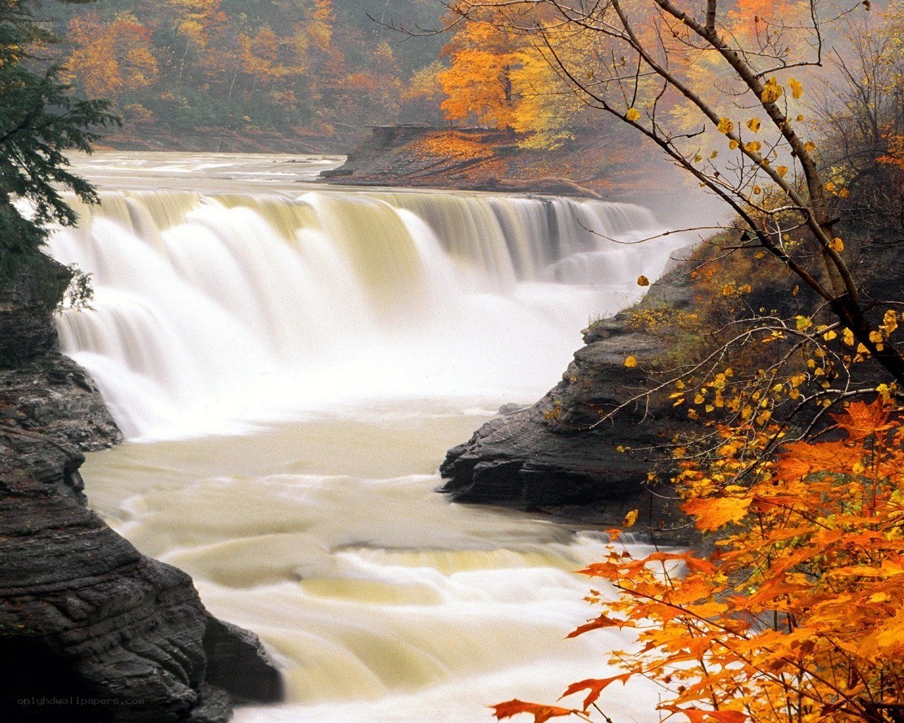 Autumn waterfall in forest
