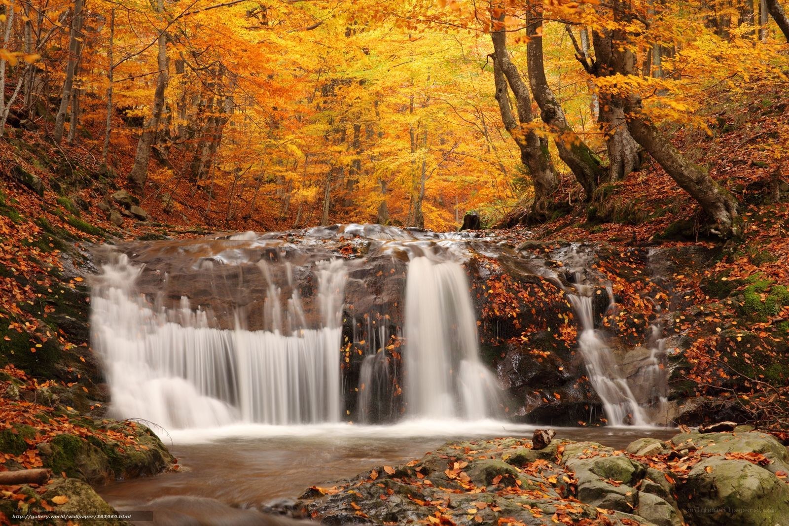Autumn waterfall in forest