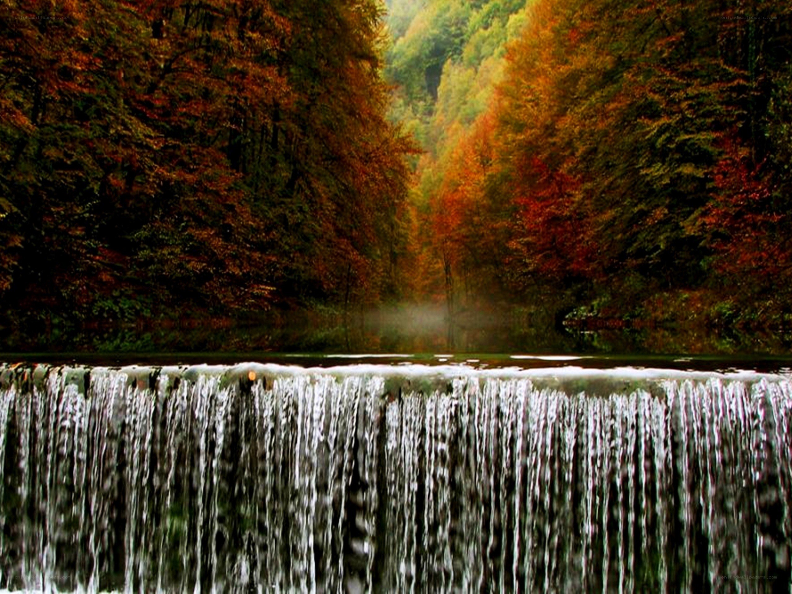 Autumn waterfall in forest