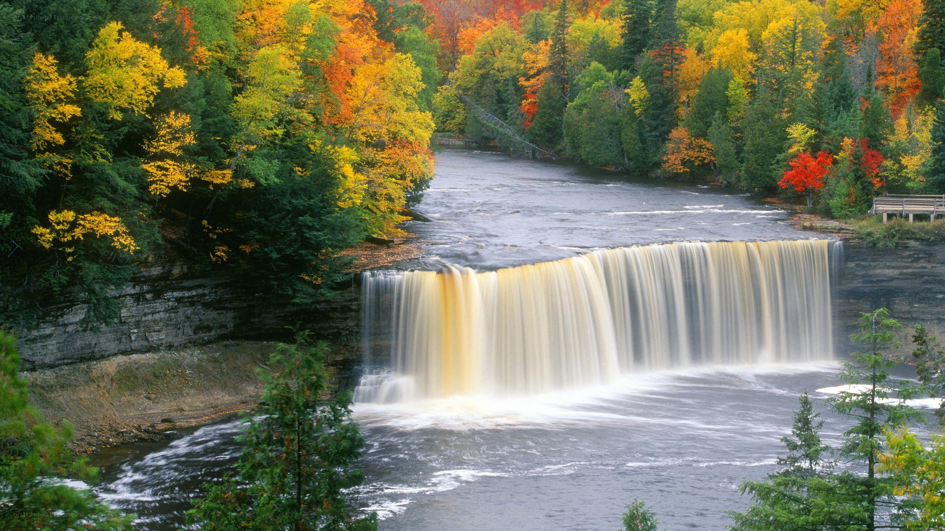 autumn waterfall in forest