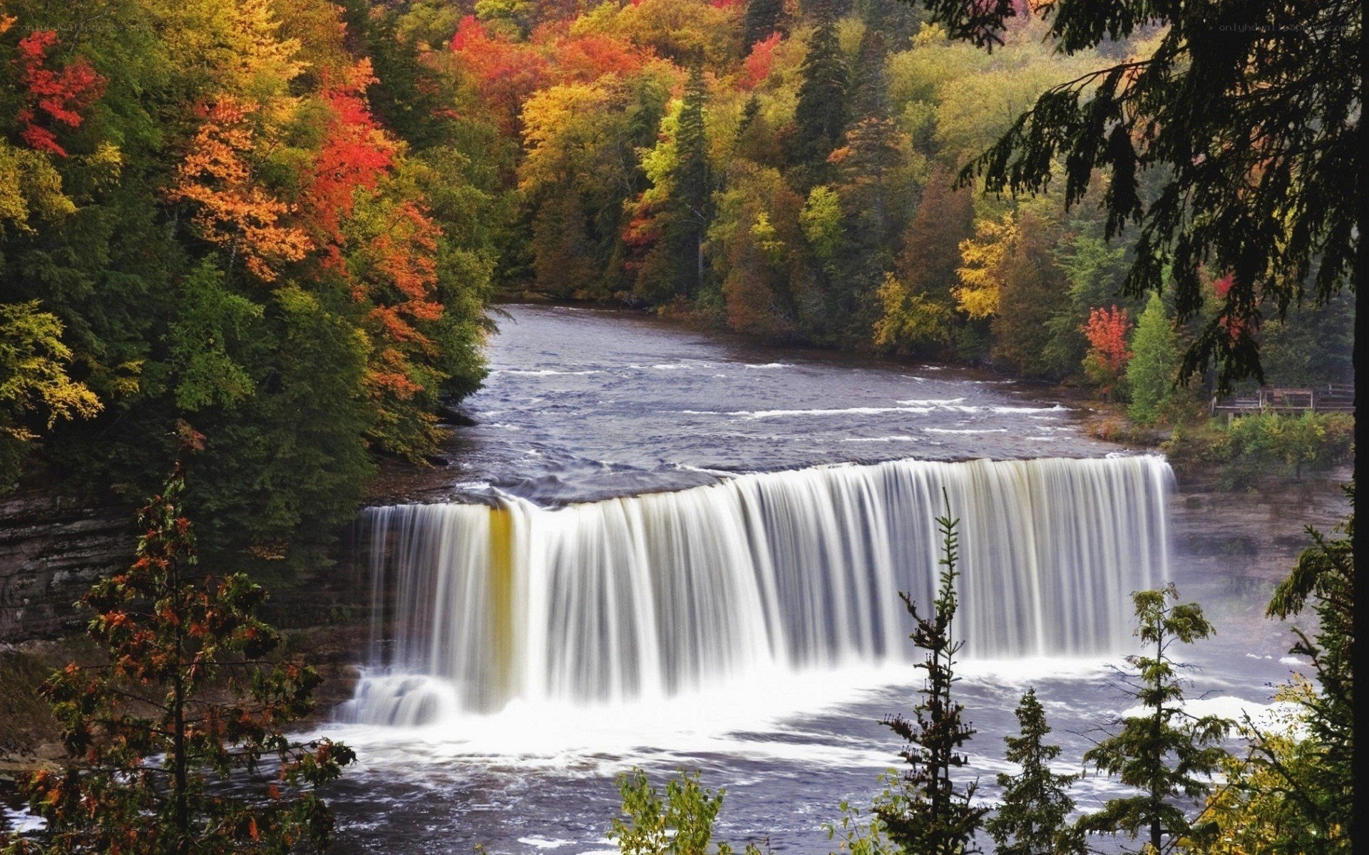 Autumn waterfall in forest