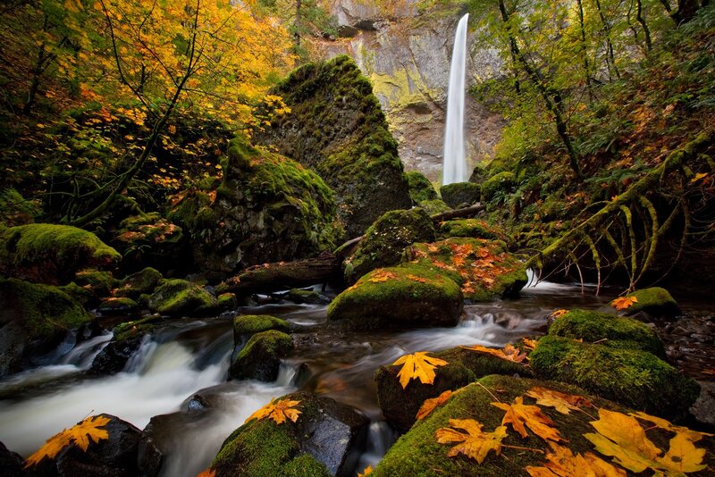 Autumn waterfall in forest
