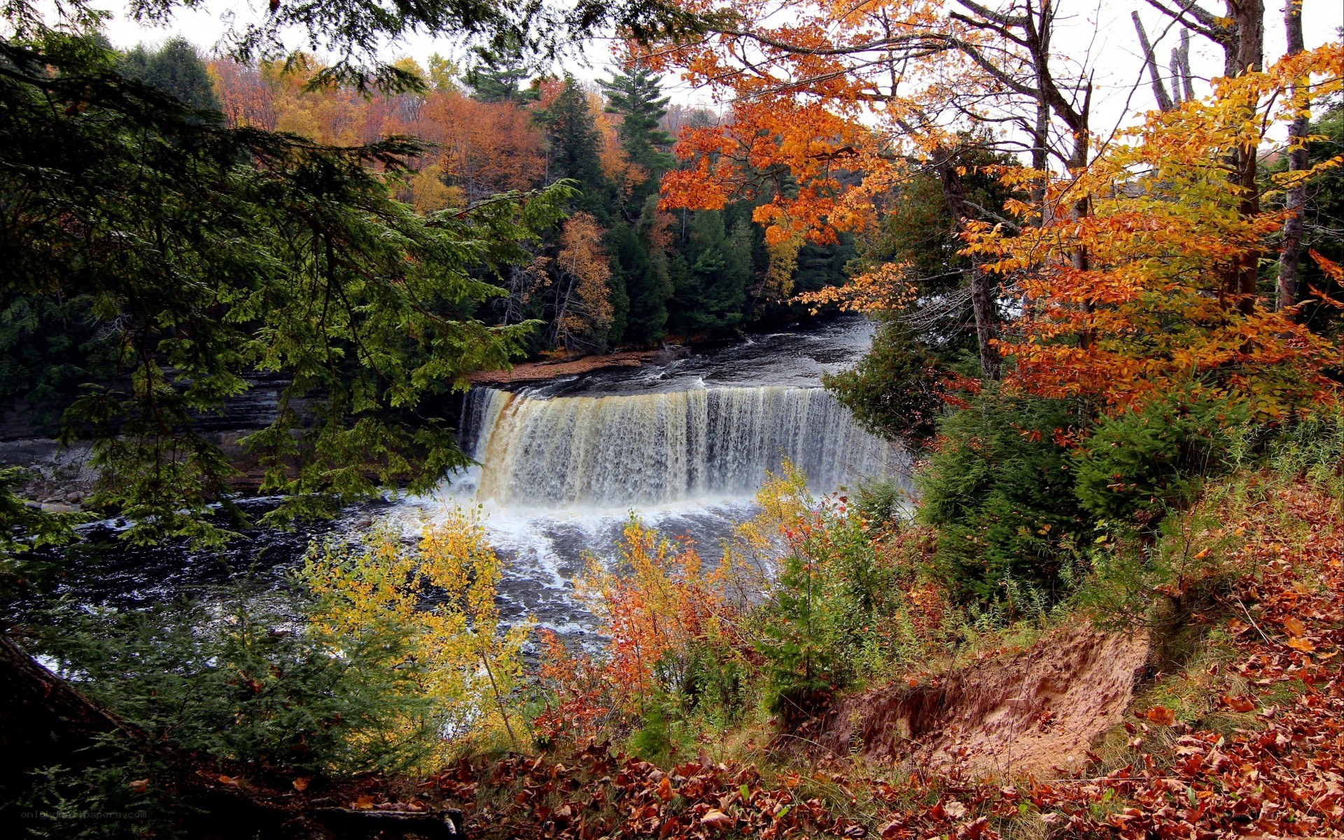 autumn waterfall in forest