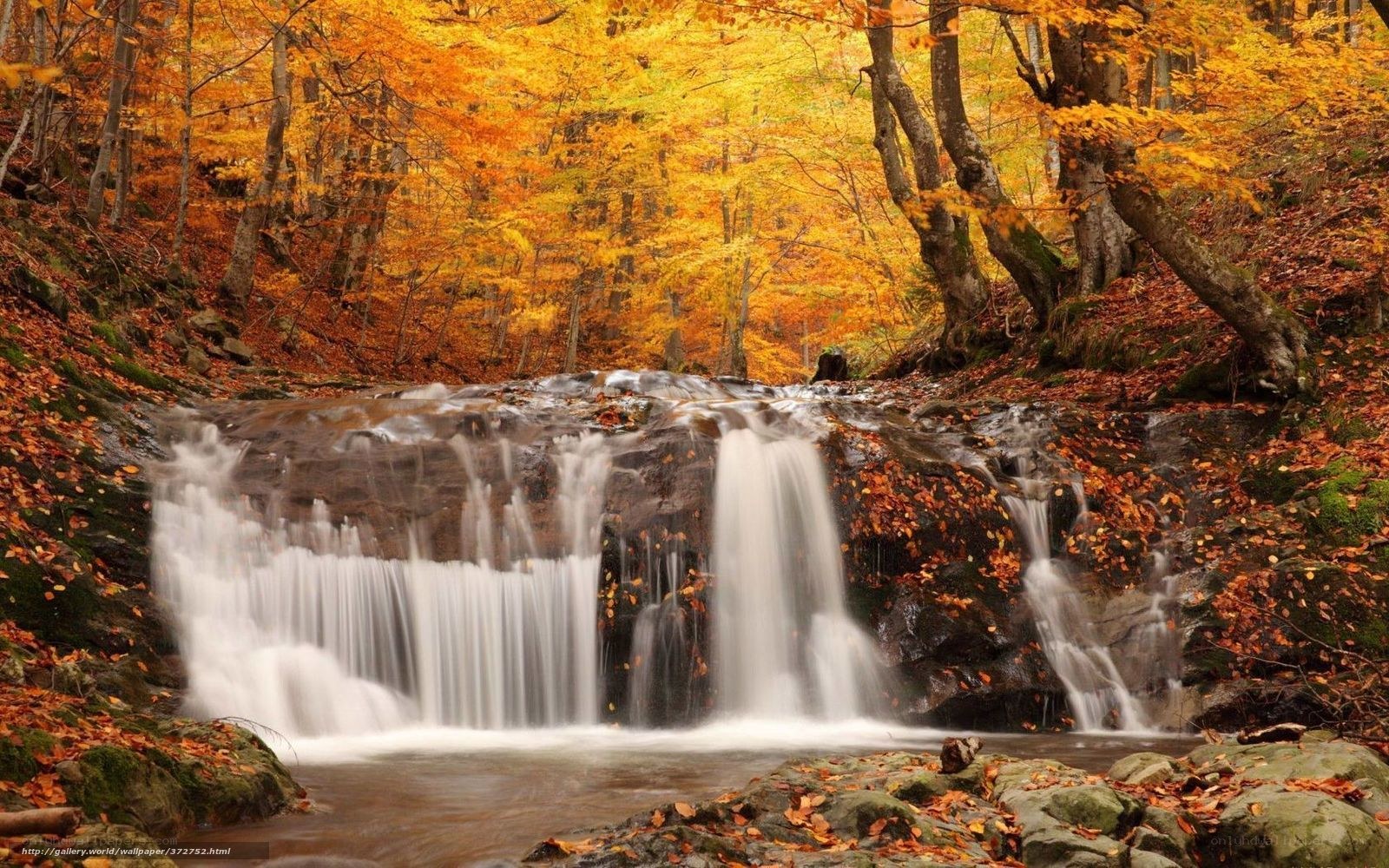 Autumn waterfall in forest