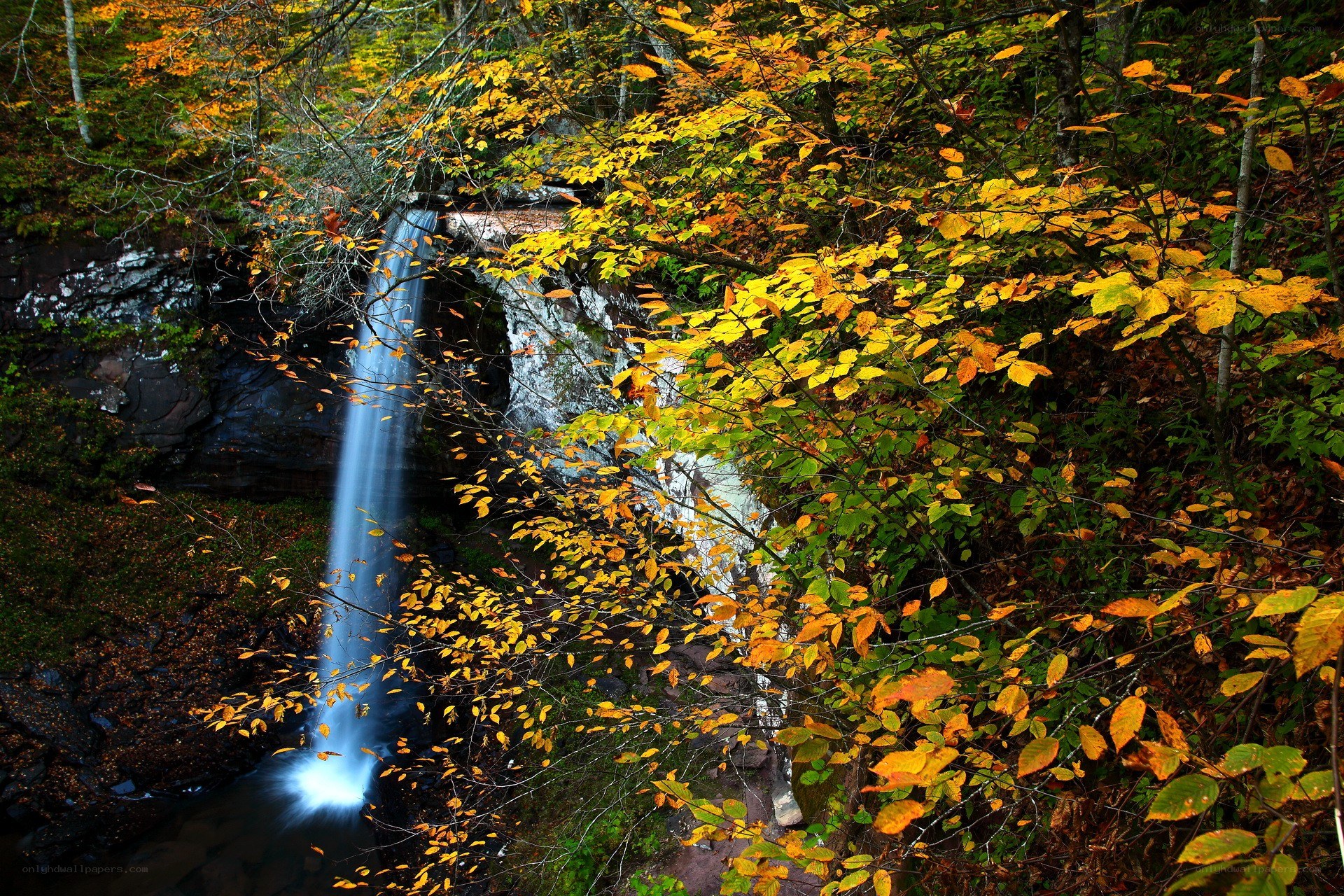 Autumn waterfall in forest