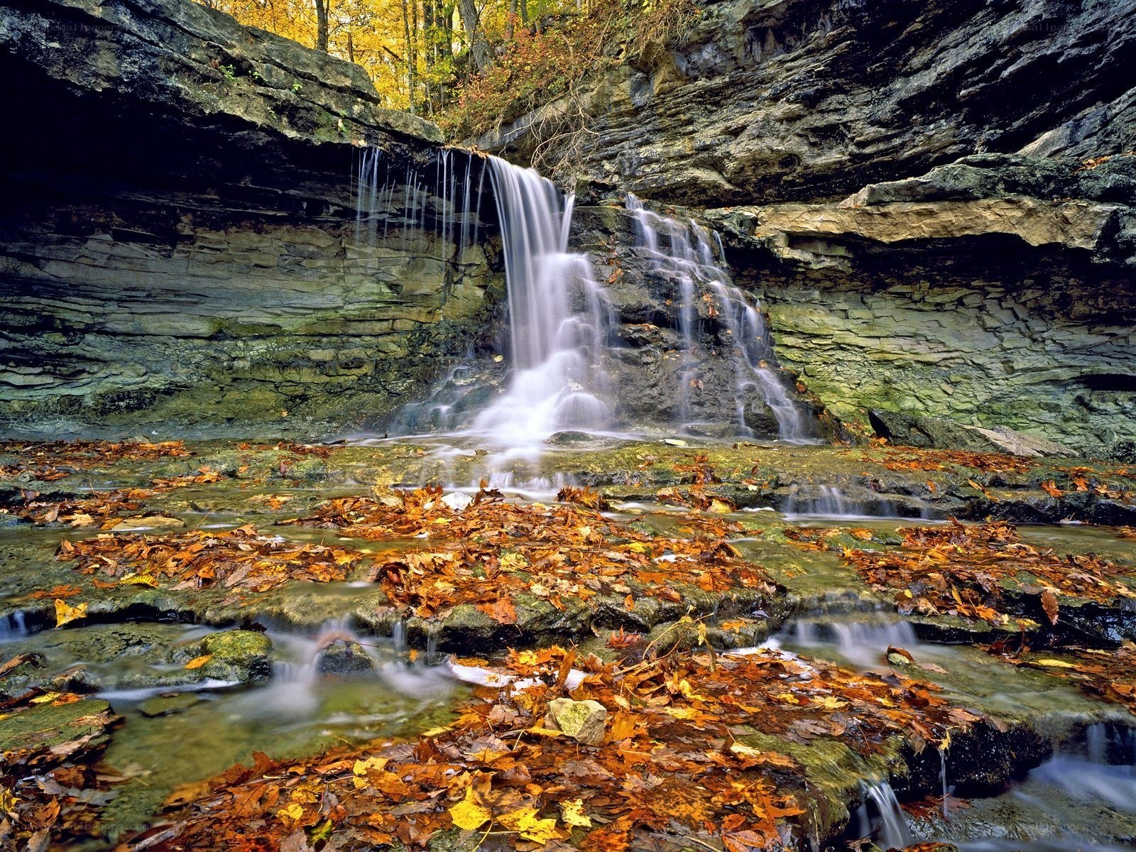 Autumn waterfall in forest