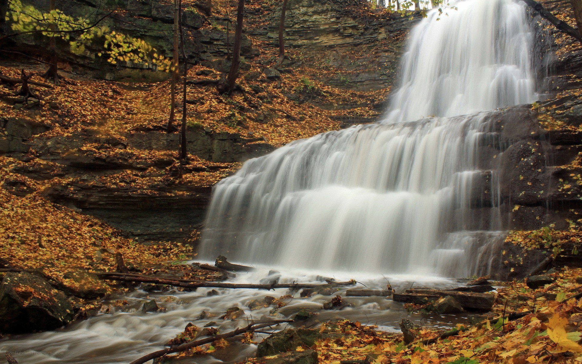 Autumn waterfall in forest