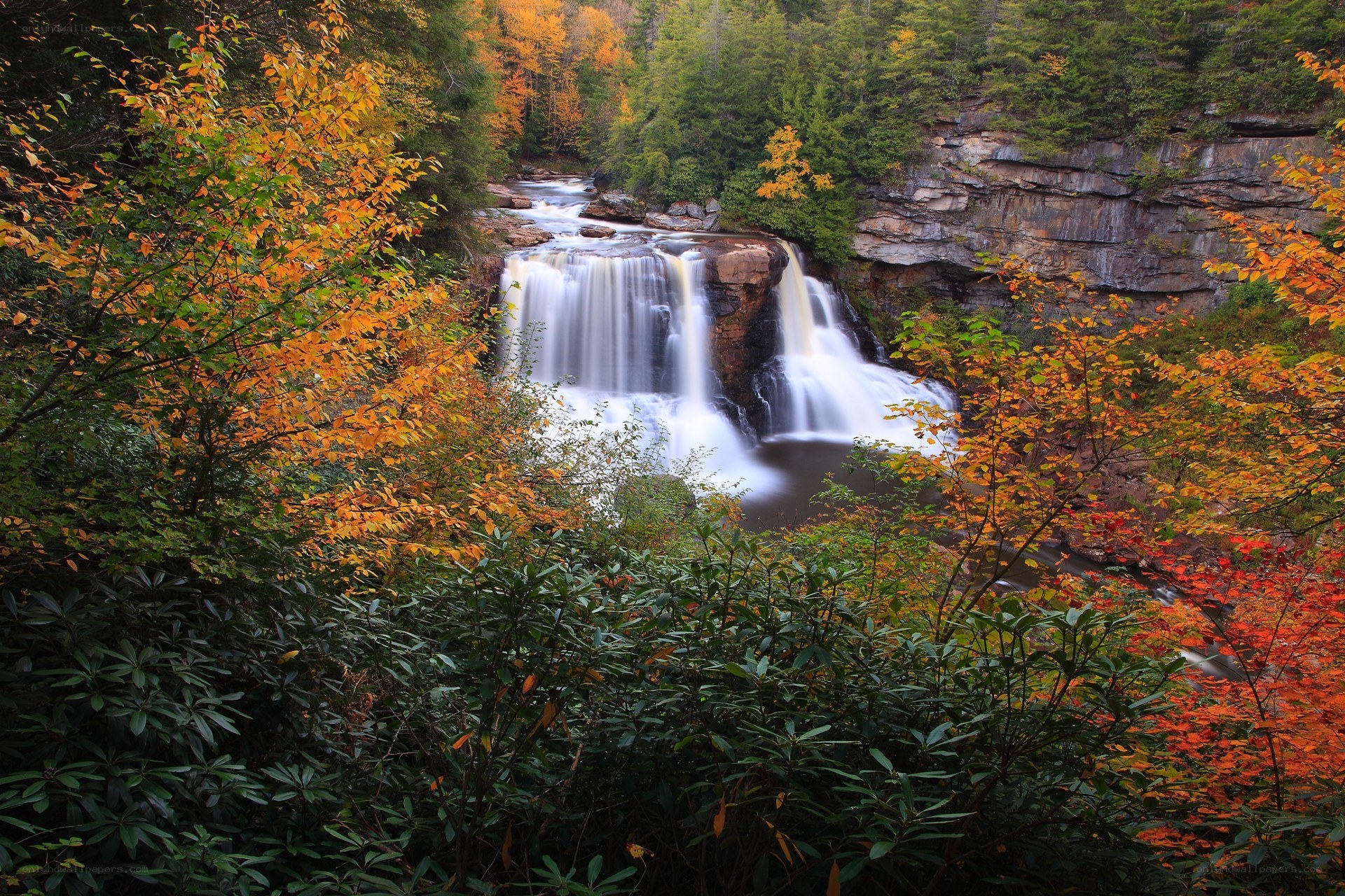 Autumn waterfall in forest