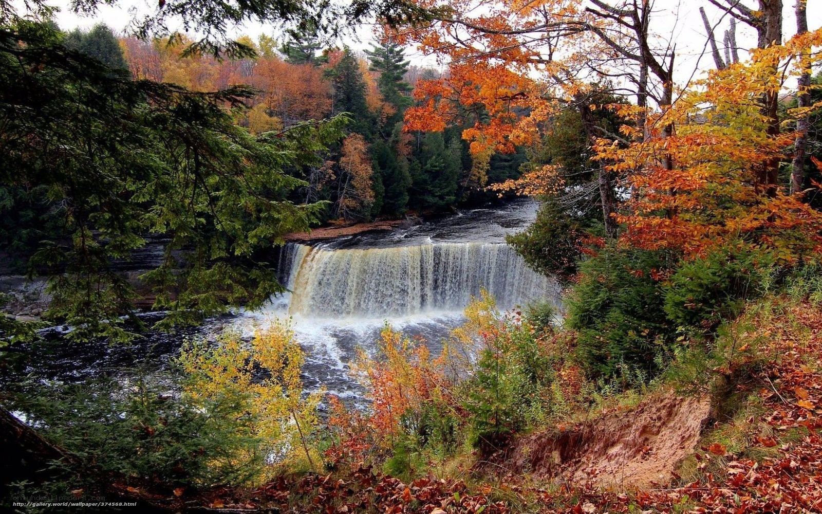 Autumn waterfall in forest
