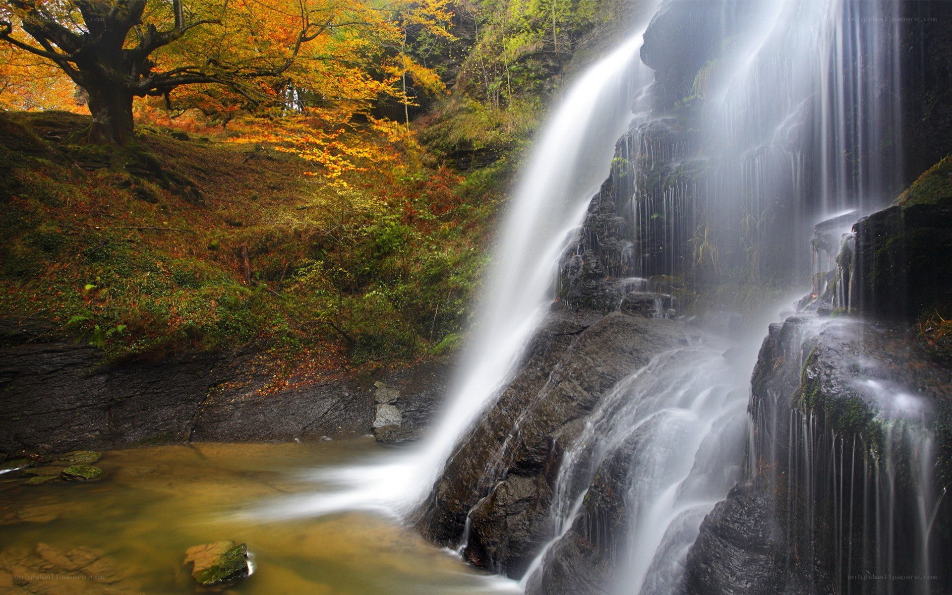 Autumn waterfall in forest