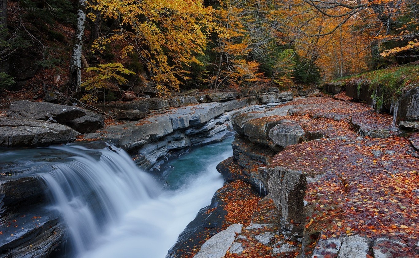 Autumn waterfall in forest