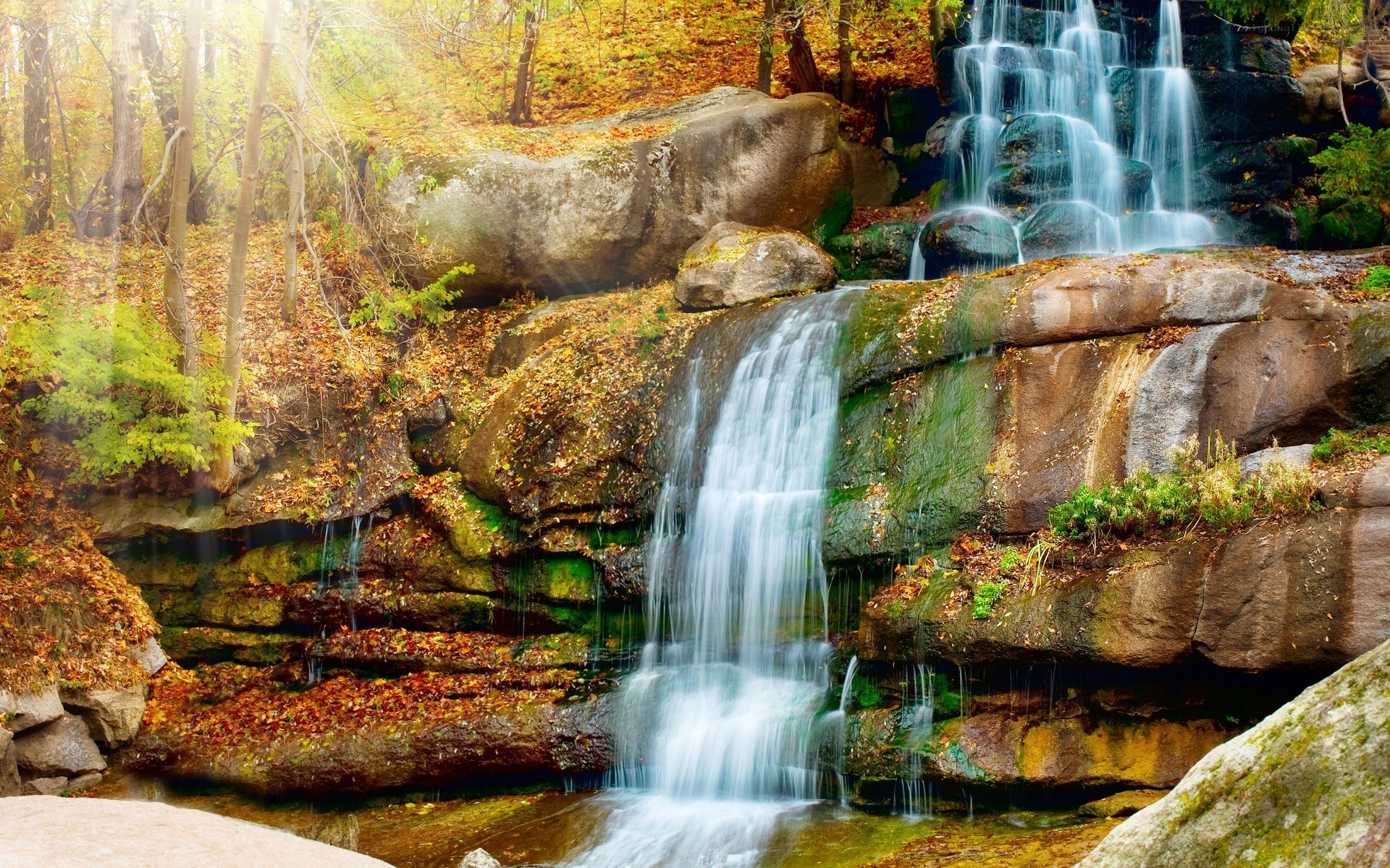 Autumn waterfall in forest