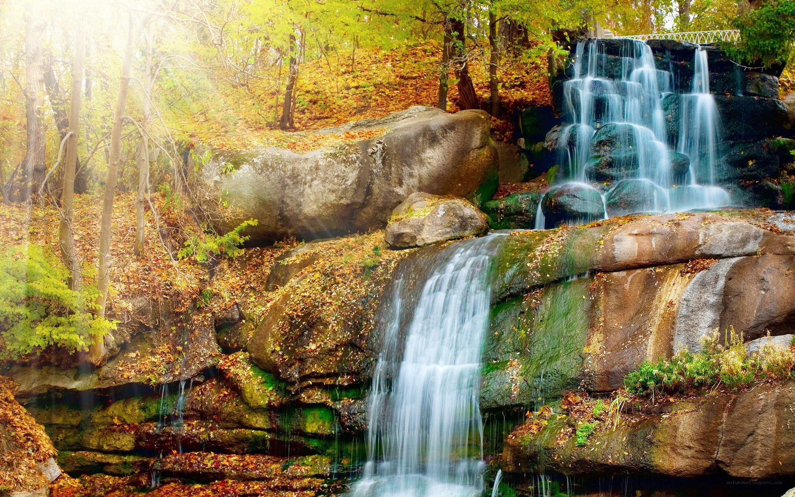 Autumn waterfall in forest