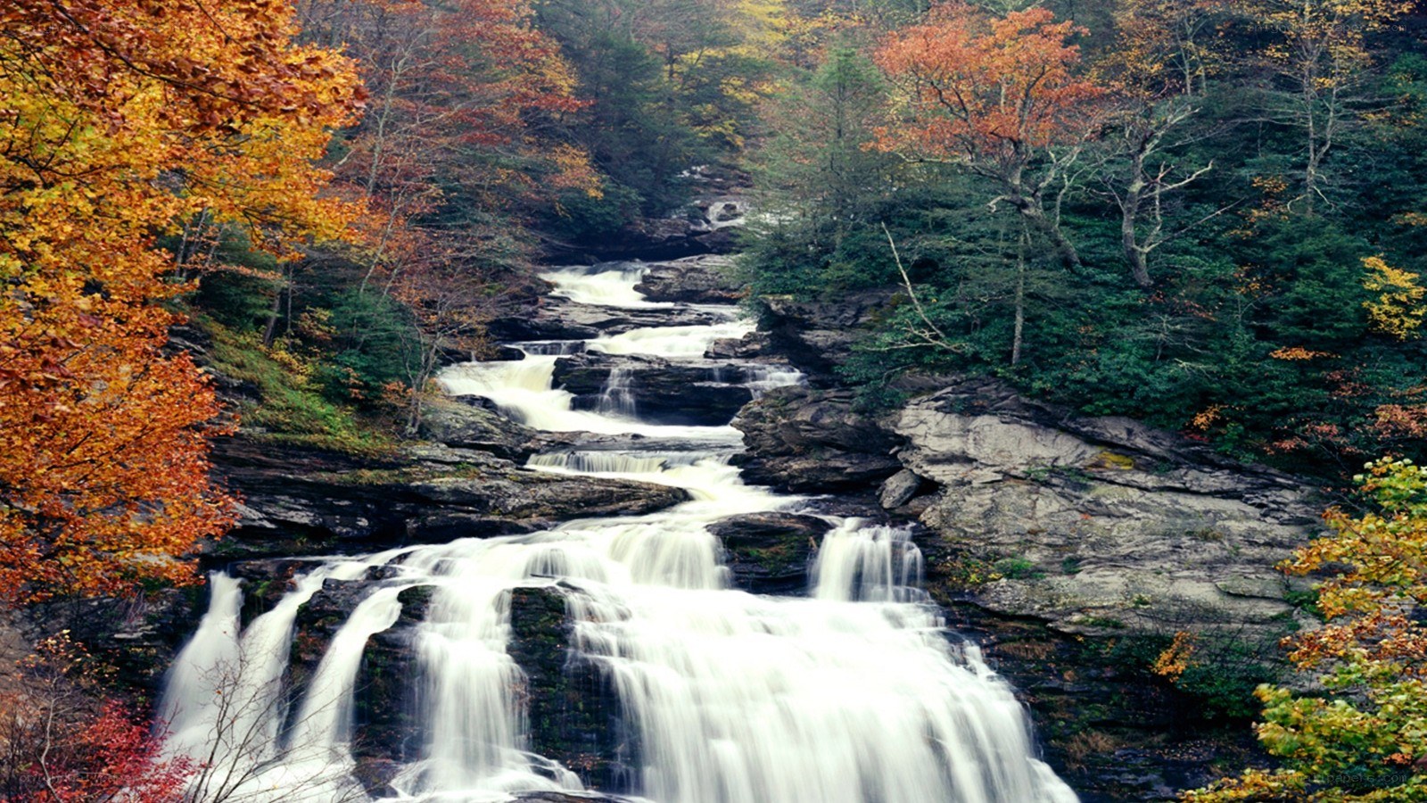 Autumn waterfall in forest